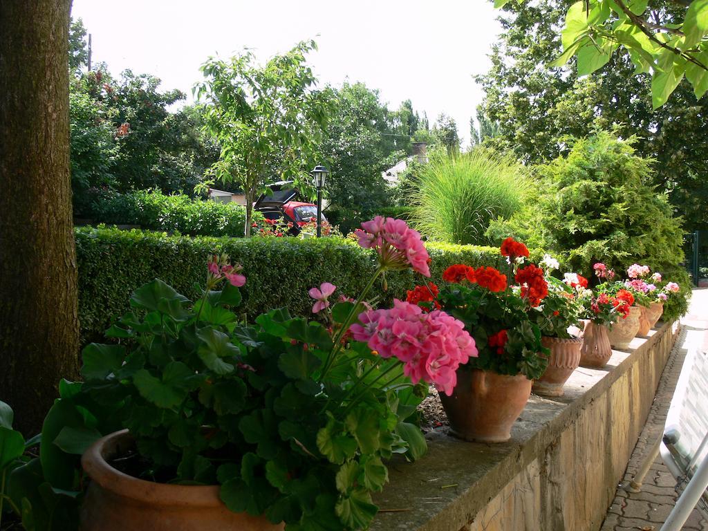 Hársfa Szálló Tamási Exterior foto